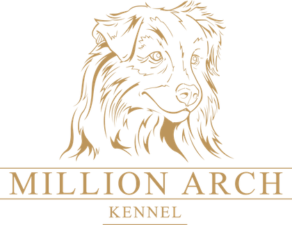 Kennel Million Arch